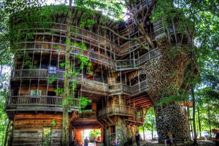 Contoh Desain Toko Unik Di Dunia Rumah pohon terbesar di dunia SAKTI DESAIN 