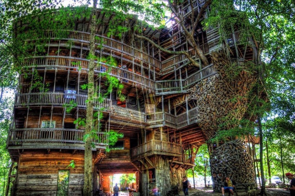 Rumah pohon terbesar di dunia SAKTI DESAIN