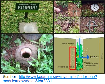 biopori