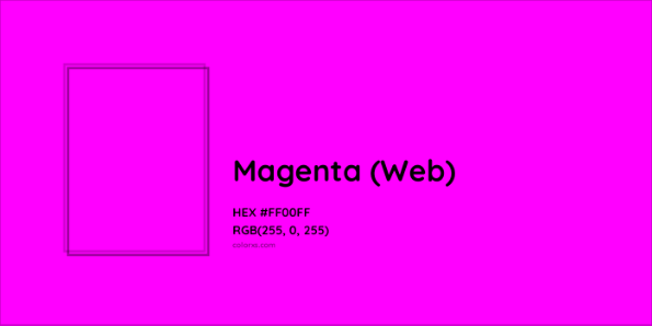 warna magenta